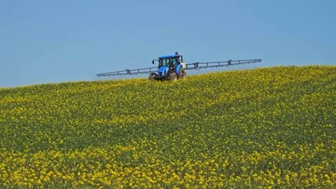 Field Spraying Machine Stock Footage 338331258
