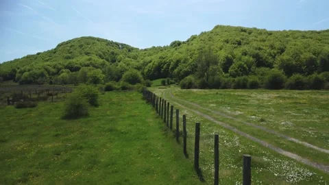 The field in spring. Fences for cattle, beech forests, pastures. Vídeos de archivo 194502154