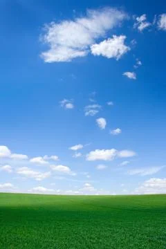 Field at spring Foto stock