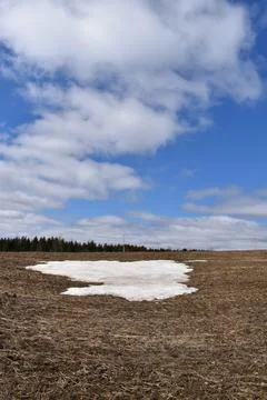 A field in spring Stock Photos