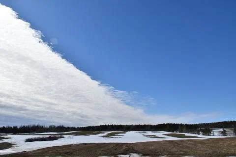 A field in spring Stock Photos