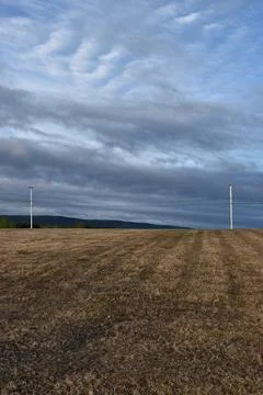 A field in spring Stock Photos