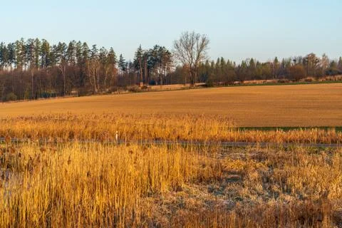 Field in spring ready for sowing wheat in the morning light Stock Photos