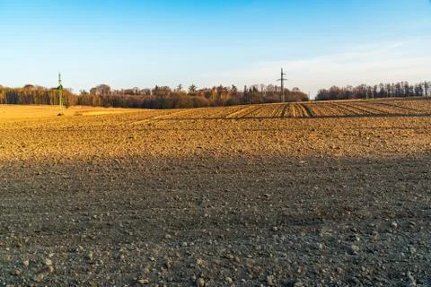 Field in spring ready for sowing wheat in the morning light Stock Photos