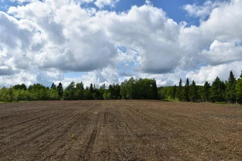A field before spring sowing Stock Photos