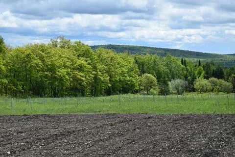 A field before spring sowing Stock Photos