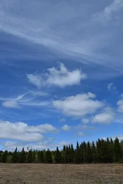 A field before spring sowing Stock Photos