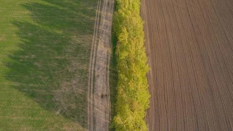 Field in spring, top view from drone Foto stock