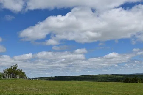 A field in spring under a cloudy sky Stock Photos