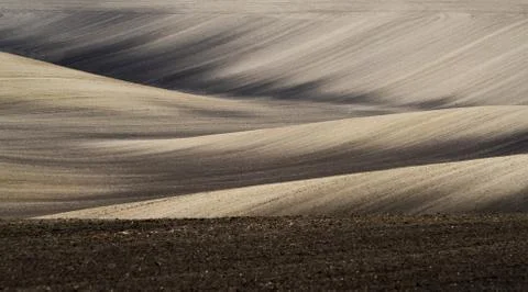Field in springtime Foto stock