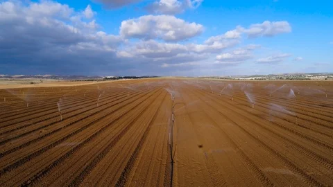 Field of sprinklers Stock Footage 99840653