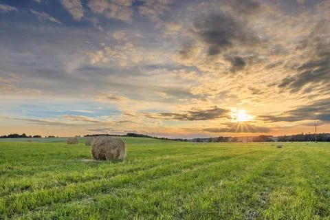 A field with stacks on a sunset. Stock Photos