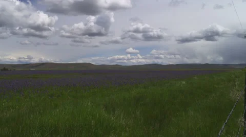 Field with Storm Clouds Overhead Stock Footage 35272656