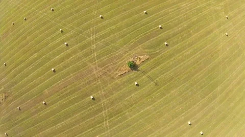 Field with straw bales Video stock 52507877