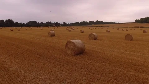 Field with Straw Bales Under Sunset Sky Stock Footage 71356600