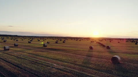 Field with Straw Bales Under Sunset Sky 4k drone Aerilal Shot.Summer harvest 스톡 동영상 145558135