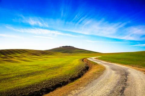 Field striped waves, rural road and olive trees uphiill. Tuscany, Italy Stock Photos