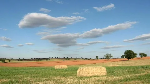 Field in summer Stock Footage 751059