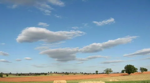 Field in summer Stock Footage 751130