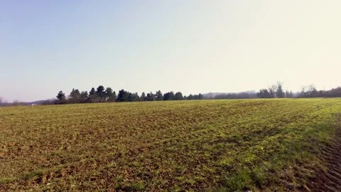 Field in the sun Stock Footage 233532673