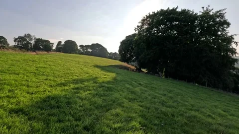 Field Sun Glare 1 Stock Footage 283402271