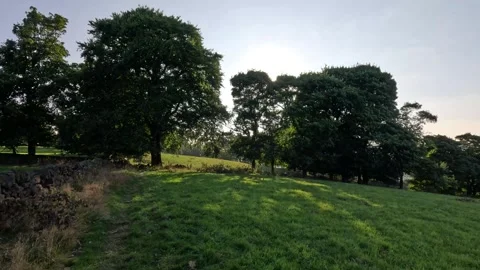 Field sun reveal Stock Footage 283401883