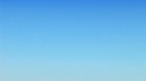 Field Of Sunflowers Stock Footage 494455