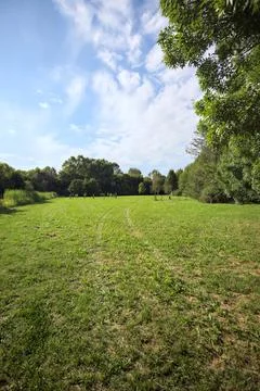 Field on a sunny day Stock Photos