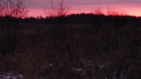 Field at Sunrise in Winter Stock-Footage 33667522