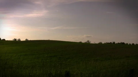Field Sunset Stock Footage 208282