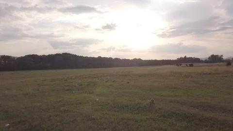 Field in the sunset 스톡 동영상 94482166