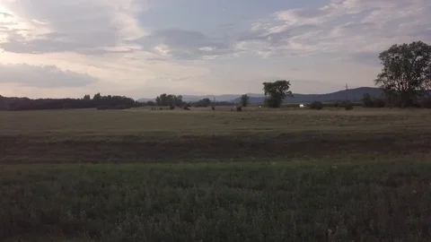 Field in the sunset Stock Footage 94482288