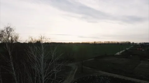 Field at Sunset in Front Tree From the Air Stock Footage 61807584