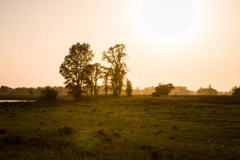 Field on sunset Stock Photos
