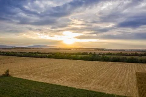 Field at sunset. Stock Photos
