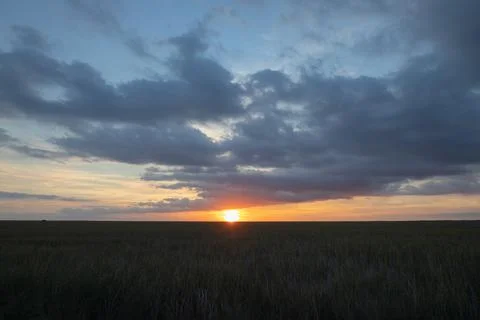 Field of sunset Stock Photos