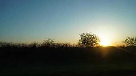 Field Sunset Foto stock