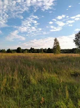 Field at sunset Stock Photos