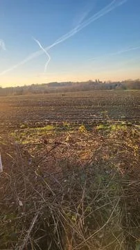 Field at Sunset Stock Photos