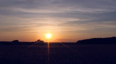 Field sunset timelapse. Stock Footage 37812691