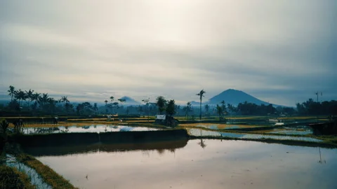 Field at sunset with volcano in the background in Bali Video stock 139813956