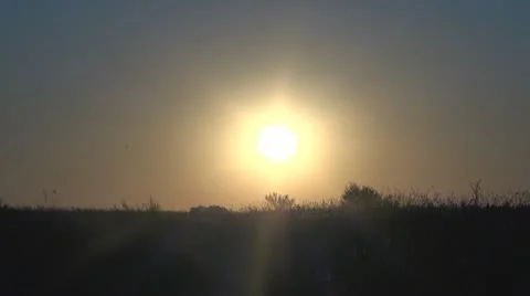 A field sunset wild summer Video stock 11887293