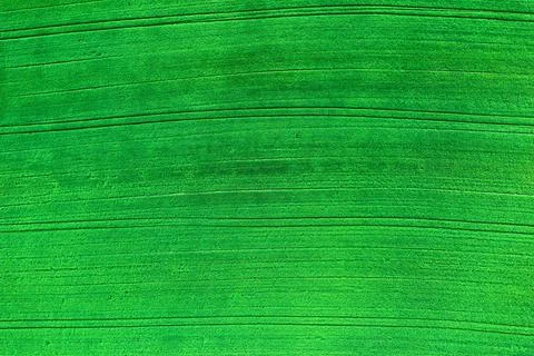 Field surface Stock Photos