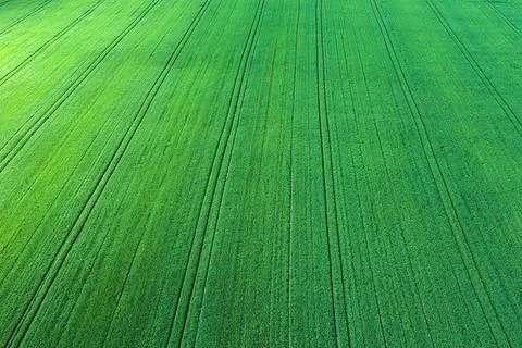 Field surface Stock Photos