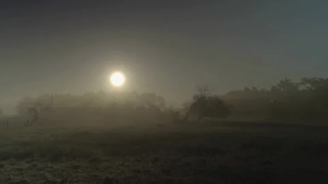 Field surrounded by trees with sun 库存影片 345714959
