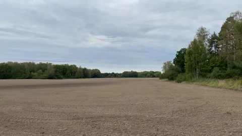 Field in Sweden. Video stock 286250000