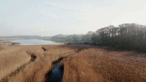 A field of tall grass with a river running through it Stock Footage 303987535