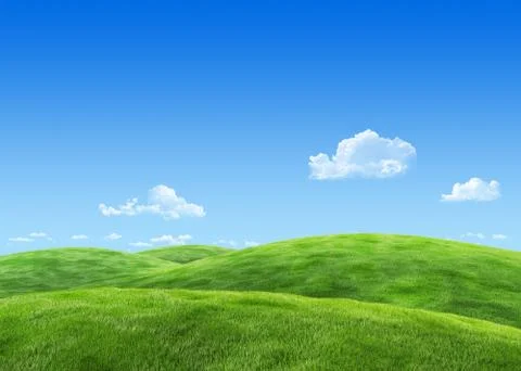 Field template - nature collection Stock Illustration