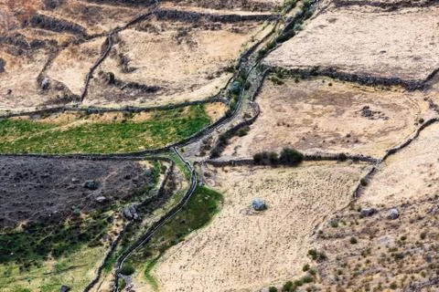 Field on terraces Stock Photos