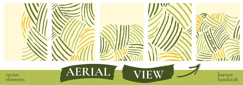 Field texture background set with olive and yellow brush lines on cream. Four Stock Illustration